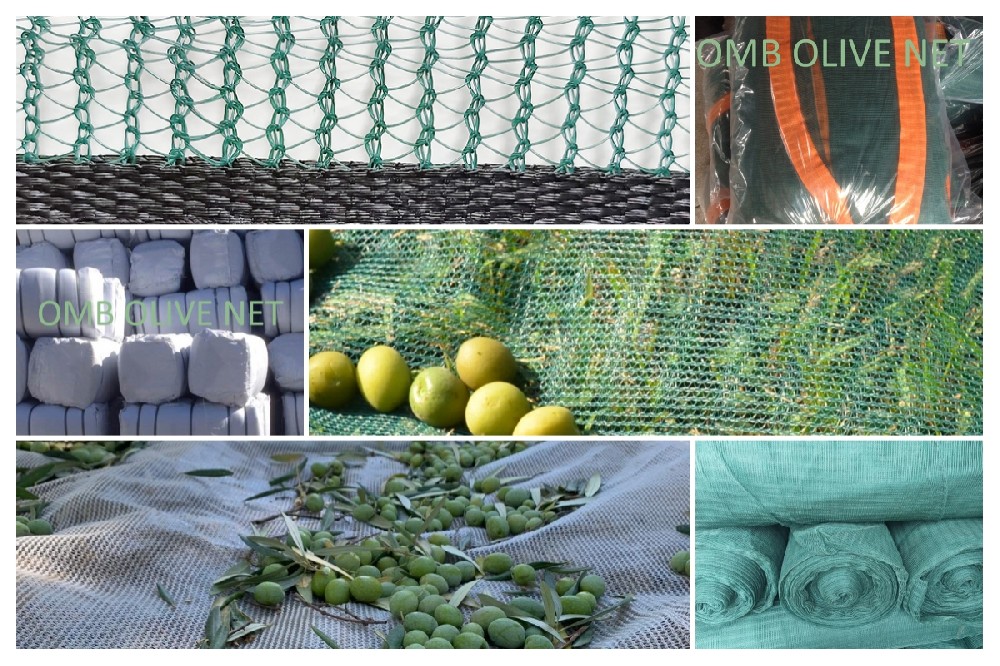 olive net.jpg