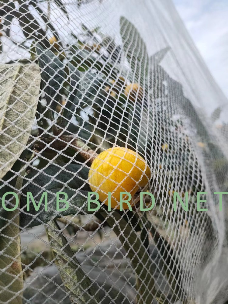 What do you need to pay attention to about anti-bird netting?