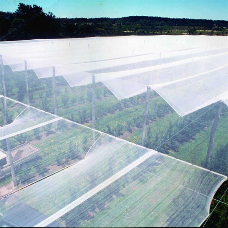 Anti-Hail Netting: A Boon for Garden Safety