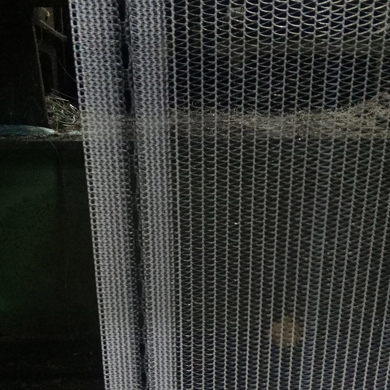 Shield Your Harvest: A Close Look at Anti-Hail Nets