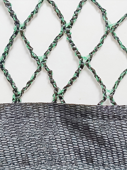 Anti-Bird Netting: Bird-Induced Problems
