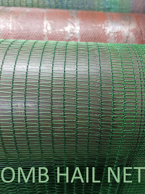 Discovering the Guardian of the Garden: Anti-Hail Netting